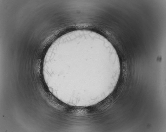 X0000114570495200911301314