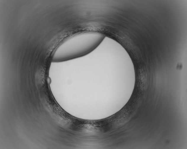 X0000114570496200911301314