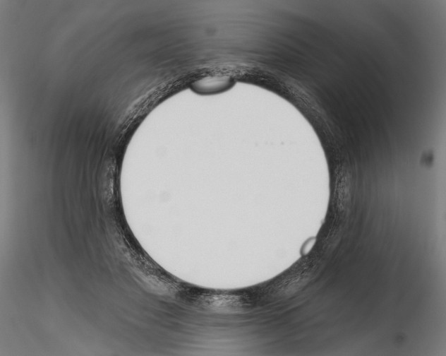 X0000114570501200911301314