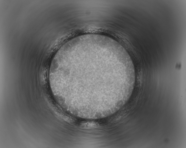 X0000114570503200911301314