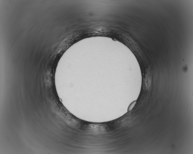 X0000114570520200911301314