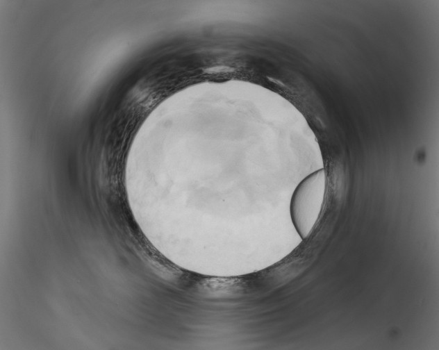 X0000114570526200911301314