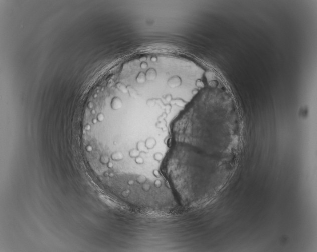 X0000114570529200911301313