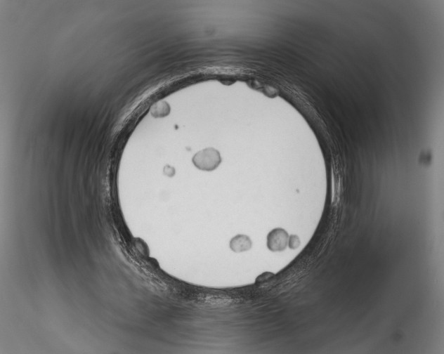 X0000114570531200911301313