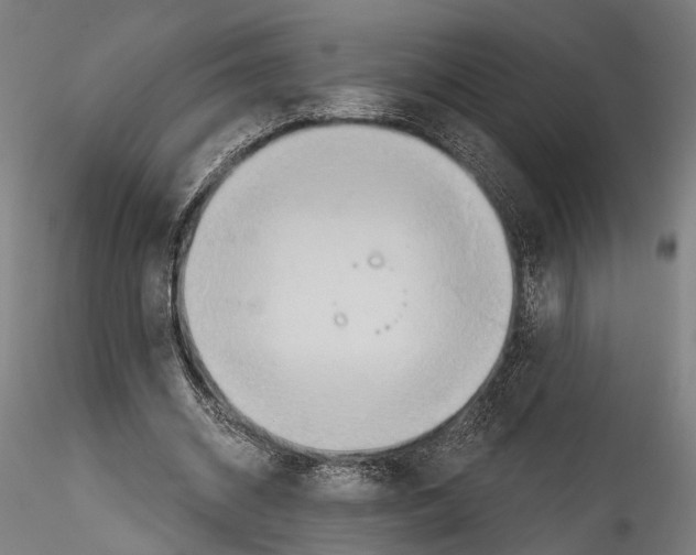 X0000114570534200911301313