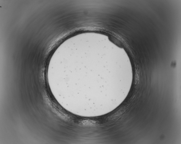 X0000114570535200911301313