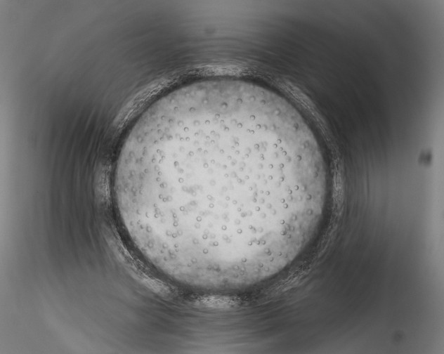 X0000114570537200911301313