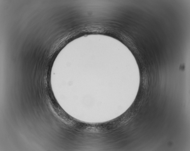 X0000114570538200911301313