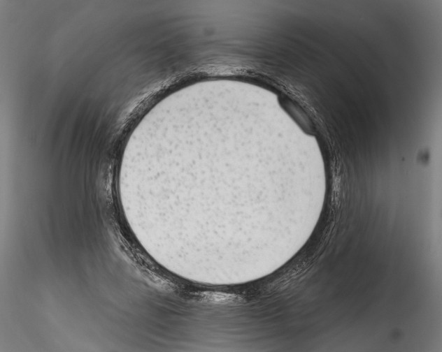 X0000114570539200911301313