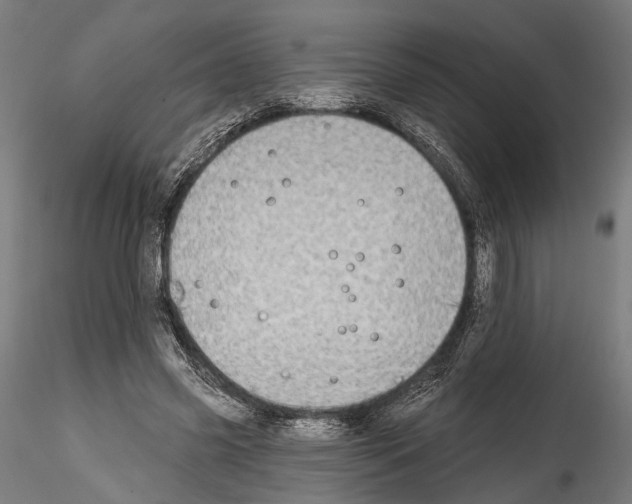 X0000114570541200911301313