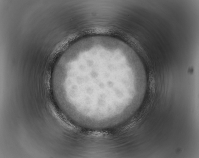 X0000114570542200911301313