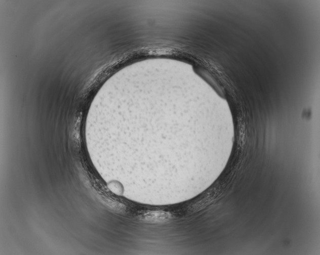 X0000114570543200911301313