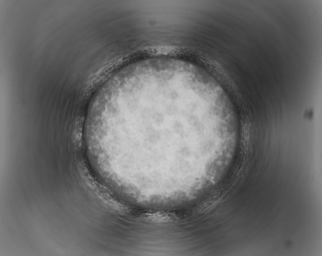 X0000114570545200911301313