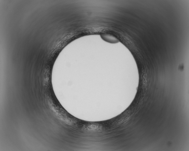 X0000114570546200911301313