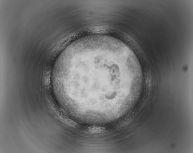 X0000114570549200911301313