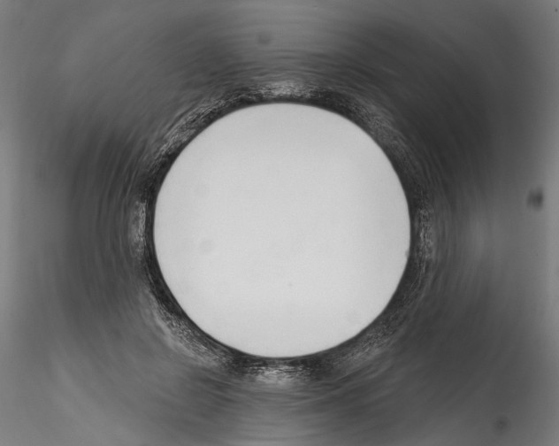 X0000114570550200911301314