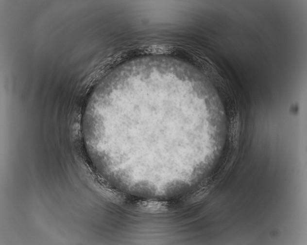 X0000114570553200911301314