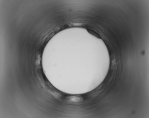 X0000114570555200911301314