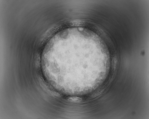 X0000114570557200911301314