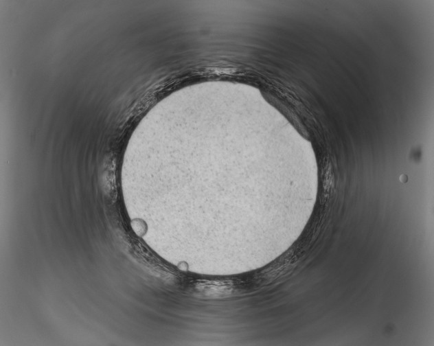 X0000114570559200911301314