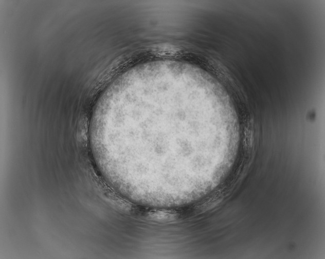 X0000114570561200911301314