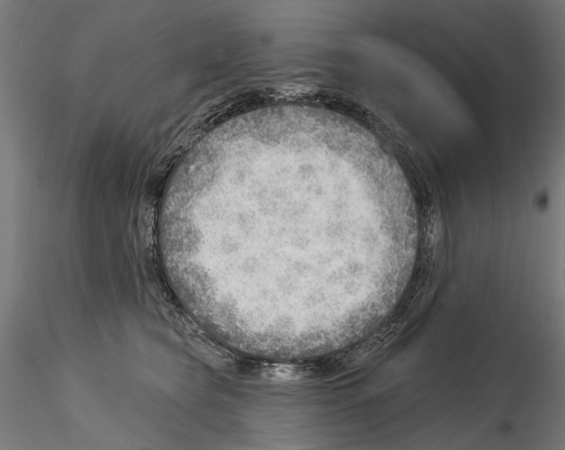 X0000114570565200911301314