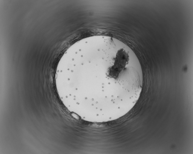 X0000114570570200911301314