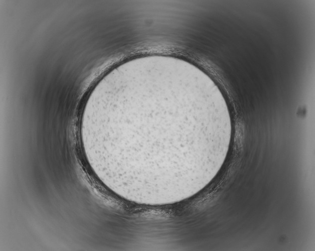 X0000114570578200911301313