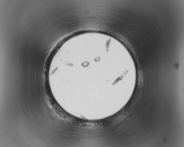 X0000114570580200911301313