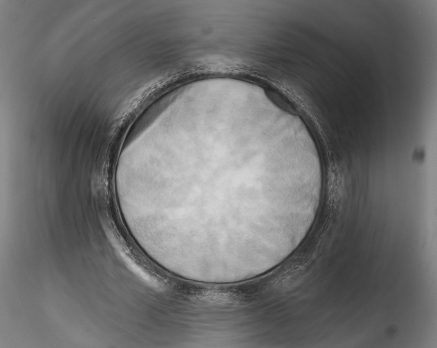 X0000114570581200911301313