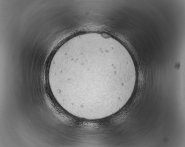 X0000114570582200911301313