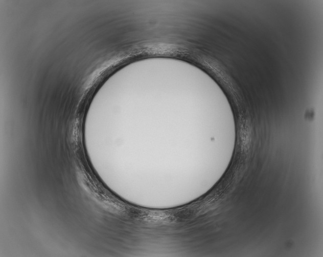 X0000114570583200911301313