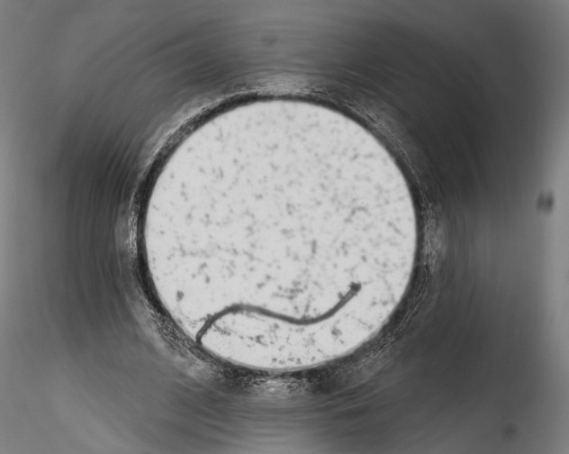 X0000114570584200911301313