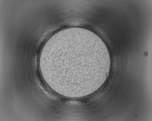 X0000114570590200911301313