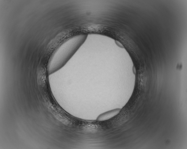 X0000114570593200911301313