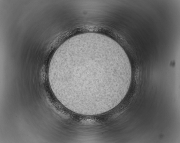 X0000114570594200911301313