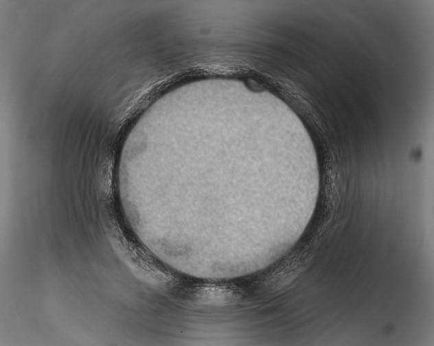 X0000114570596200911301313