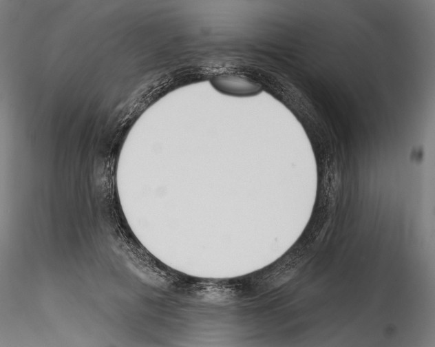 X0000114570601200911301313