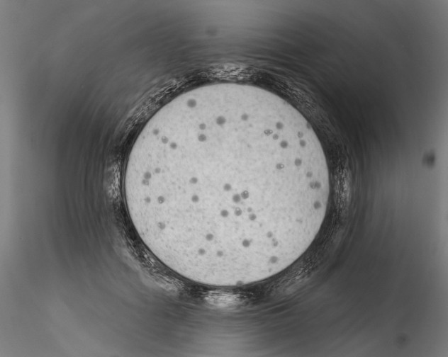 X0000114570602200911301313