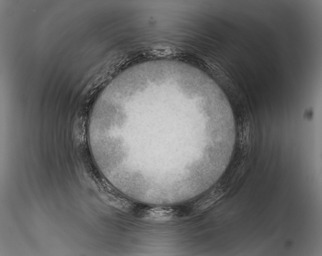 X0000114570606200911301313