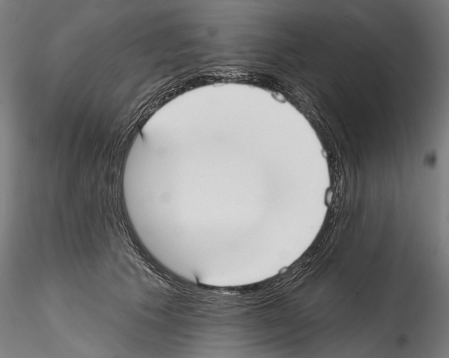 X0000114570609200911301313