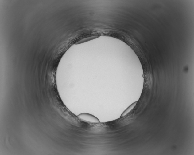 X0000114570621200911301312