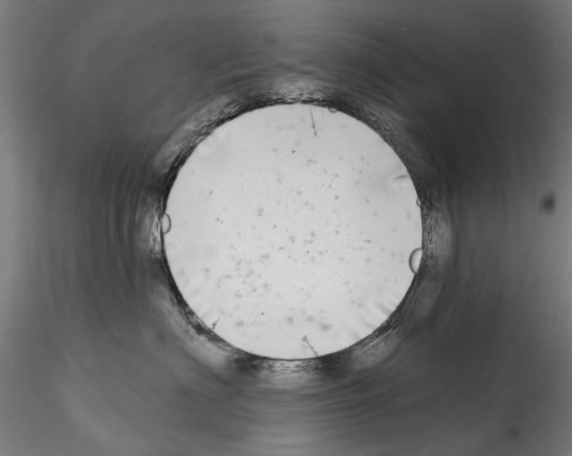 X0000114570622200911301312