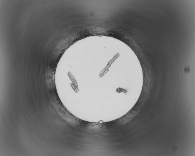 X0000114570624200911301312