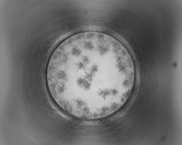 X0000114570625200911301312