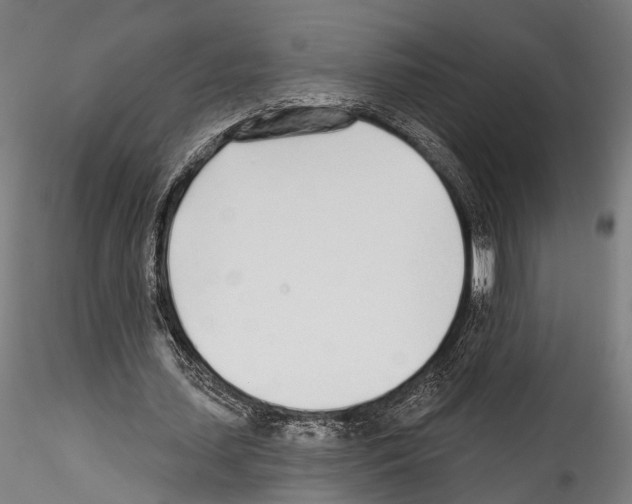 X0000114570627200911301312