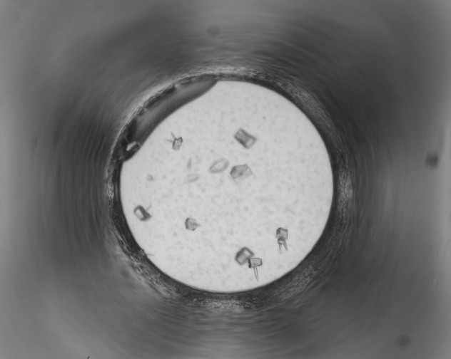 X0000114570628200911301312