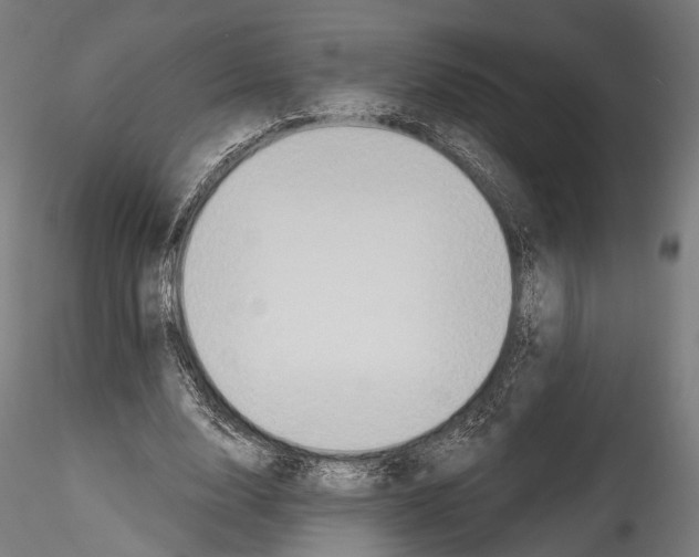 X0000114570632200911301312