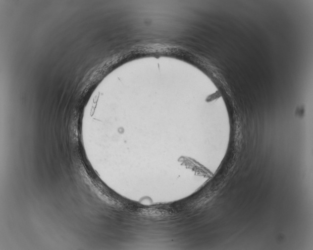 X0000114570633200911301312