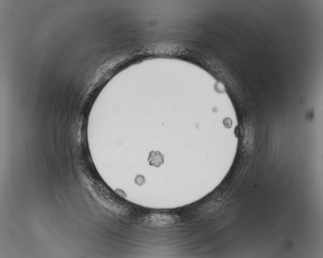 X0000114570636200911301312